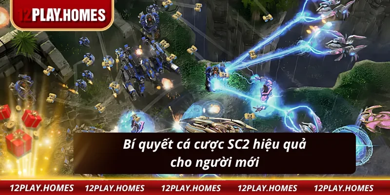 Truy cập dễ dàng nhanh chóng tại 12Play